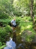 Schweden_107