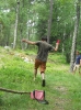Schweden_77